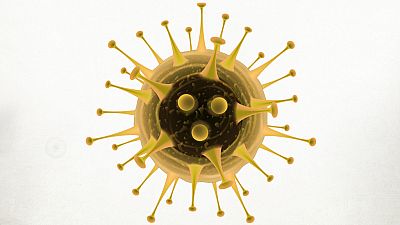 Las mañanas de RNE - El apasionante mundo de la virología según José Antonio López - Escuchar ahora
