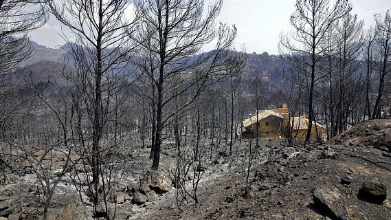 Las mañanas de RNE con Alfredo Menéndez