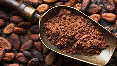 Memoria de delfín - Chocolate: de secreto de estado a adicción popular - 08/09/18