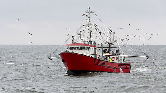 Españoles en la mar