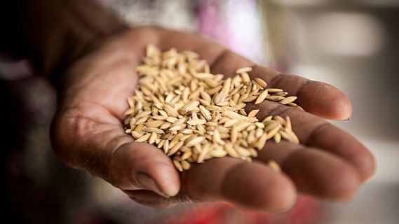 Cooperación es Desarrollo en Radio 5