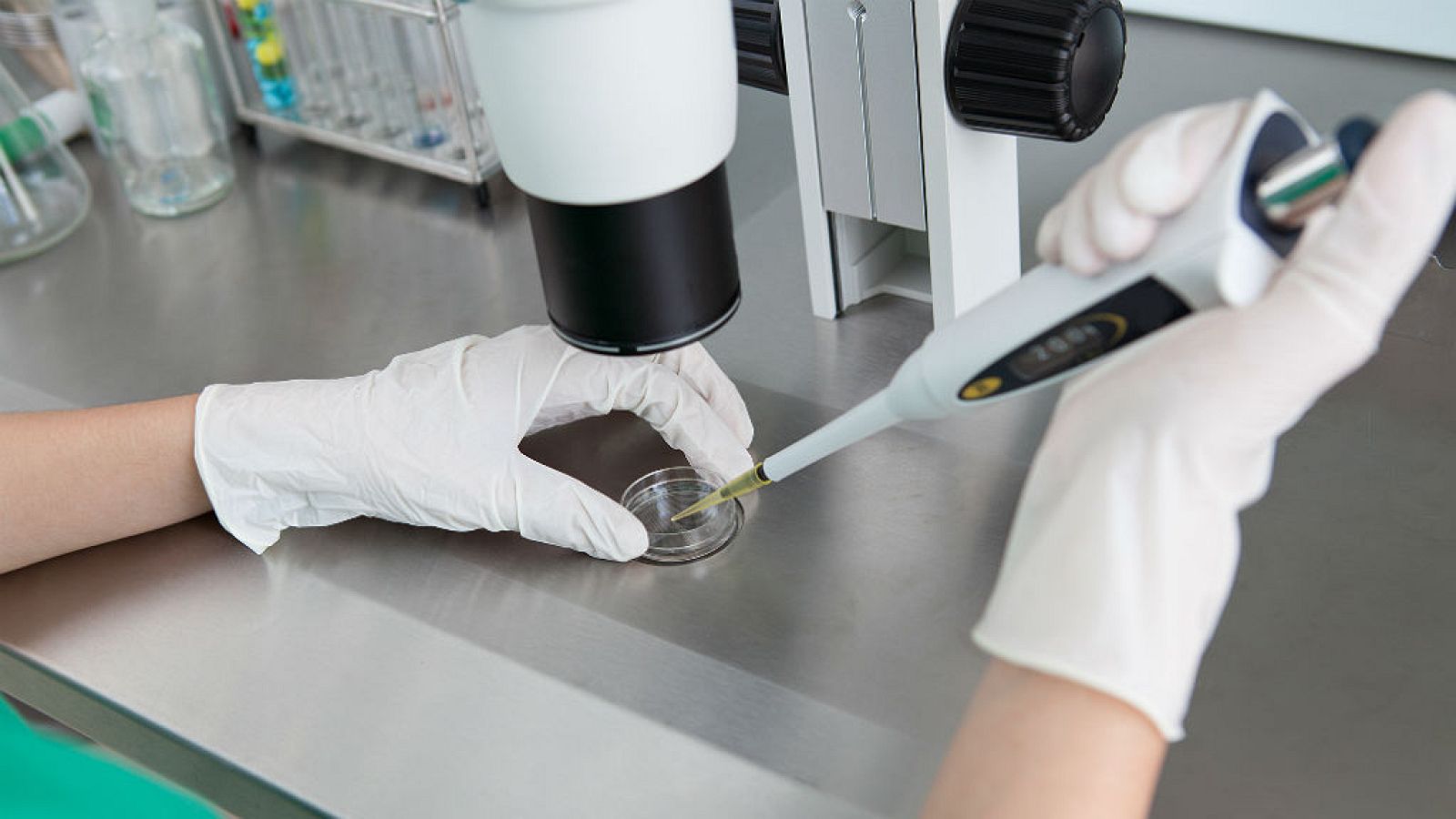 14 horas - Sanidad lanza un plan para garantizar el acceso a las terapias CAR-T contra el cáncer - Escuchar ahora