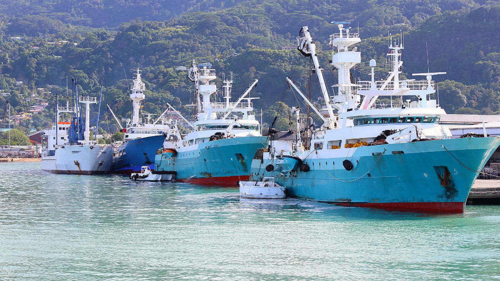 14 horas - La flota española, frente a la escasez de profesionales y la sobreexplotación de especies - Escuchar ahora