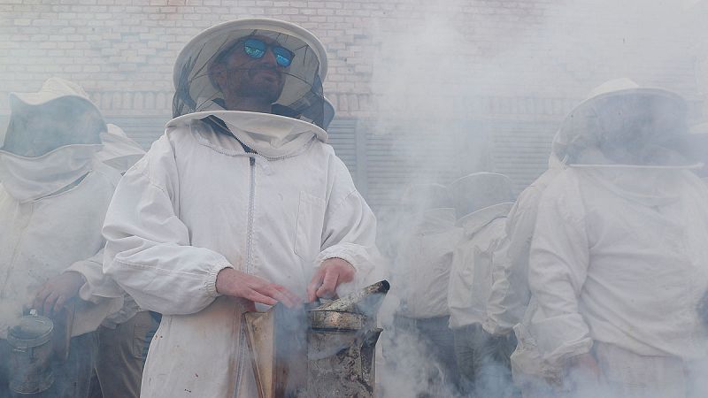 14 horas - Los apicultores protestan por abusos de la industria envasadoras