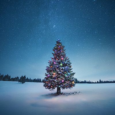 Gran Repertorio - BACH: Oratorio de Navidad - 30/12/18 - escuchar ahora