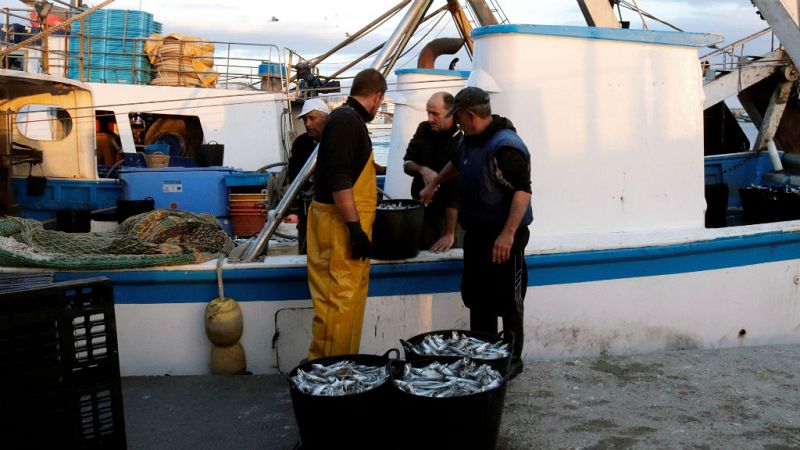 Las mañanas de RNE - El acuerdo de pesca UE-Marruecos incluye aguas del Sáhara Occidental - Escuchar ahora 