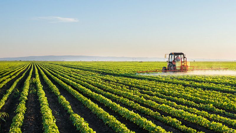 Mundo rural - Fondo Español de Garantía Agraria - 21/01/19 - Escuchar ahora