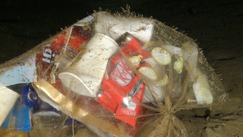  Las mañanas de RNE con Íñigo Alfonso - Helena Álvarez (Oceana): "Se calcula que en 2050 habrá en el mar más plásticos que peces"  - Escuchar ahora