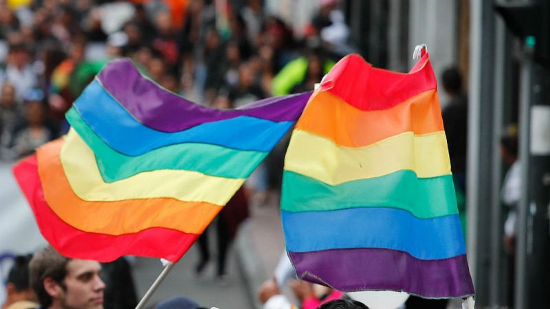  14 horas - La FELGTB denuncia la lentitud para tramitar la Ley de Igualdad LGTBI - escuchar ahora