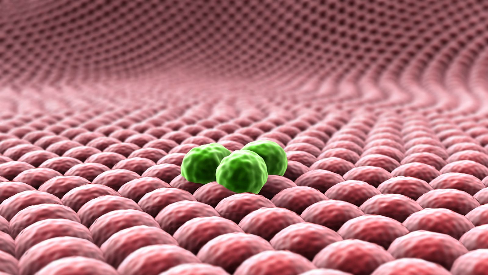 A su salud - La lucha contra el cáncer - 01/02/19 - Escuchar ahora