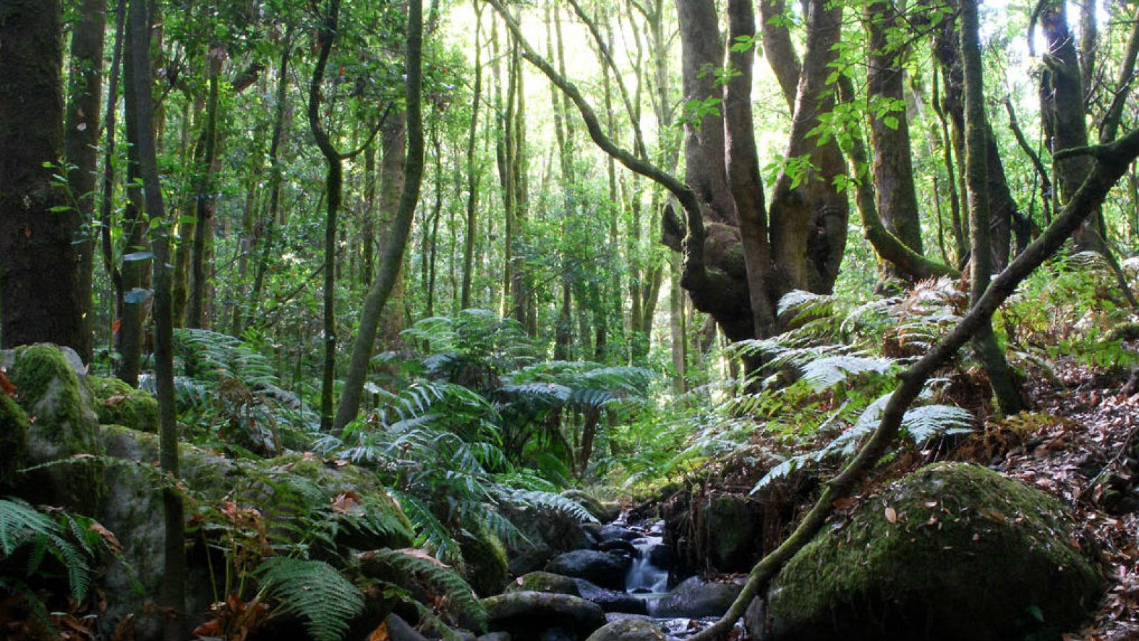 Espacio en blanco - Hechizos en la isla - 10/02/19 - escuchar ahora