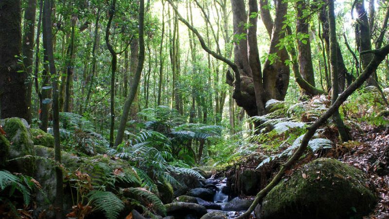 Espacio en blanco - Hechizos en la isla - 10/02/19 - escuchar ahora