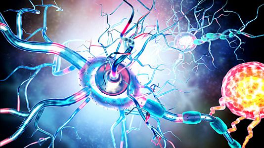 A su salud - A su salud - Investigación sobre la esclerosis múltiple - 15/02/19 - Escuchar ahora