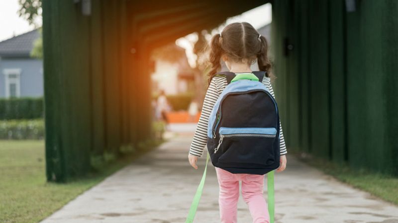 24 horas - El gobierno aprueba el proyecto de ley educativo que deroga la Lomce - escuchar ahora