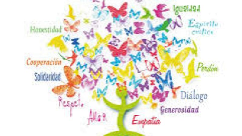 Reportajes Emisoras - Cáceres - Voluntarios para amar - 28/02/19 - Escuchar ahora