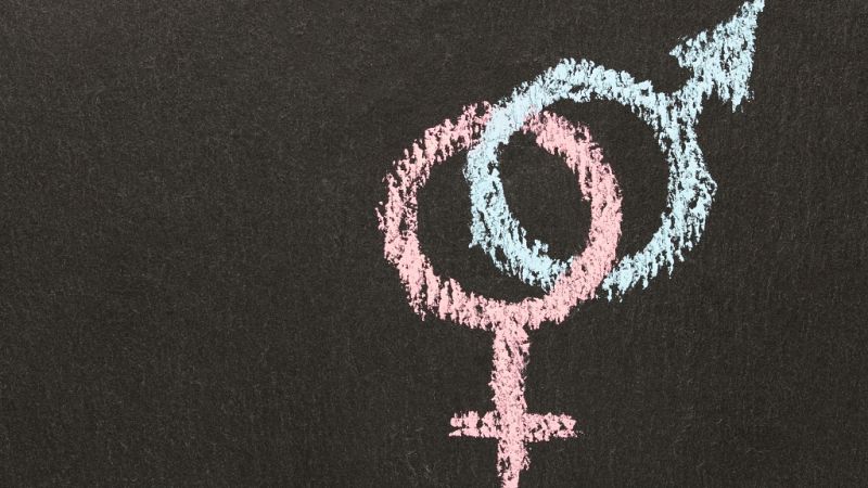 14 horas - La brecha de género, una tarea pendiente en las escuelas - escuchar ahora
