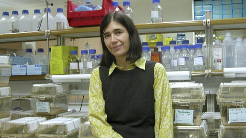 Punto de enlace - María Blasco: "Solo el 18% de científicas dirigen centros de investigación, cuando los laboratorios están llenos de mujeres" - 07/03/19 - escuchar ahora