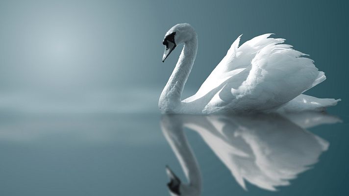 Gran repertorio - SAINT-SÄENS: Carnaval de los animales - 10/03/19