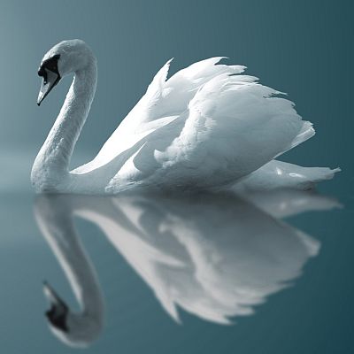 Gran repertorio - SAINT-SÄENS: Carnaval de los animales - 10/03/19