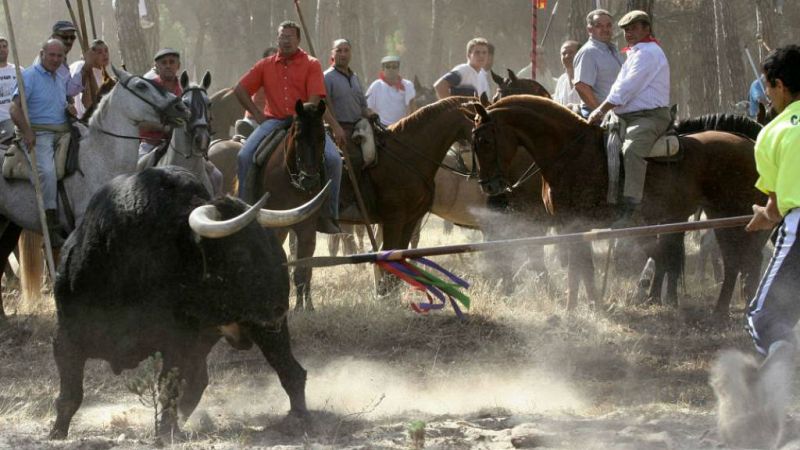 Boletines RNE - El Supremo ratifica la prohibición de alancear al Toro de la Vega en Tordesillas - escuchar ahora