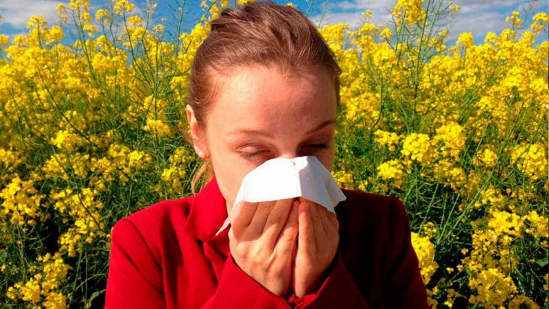 Boletines RNE - Una primavera suave para los alérgicos - Escuchar ahora
