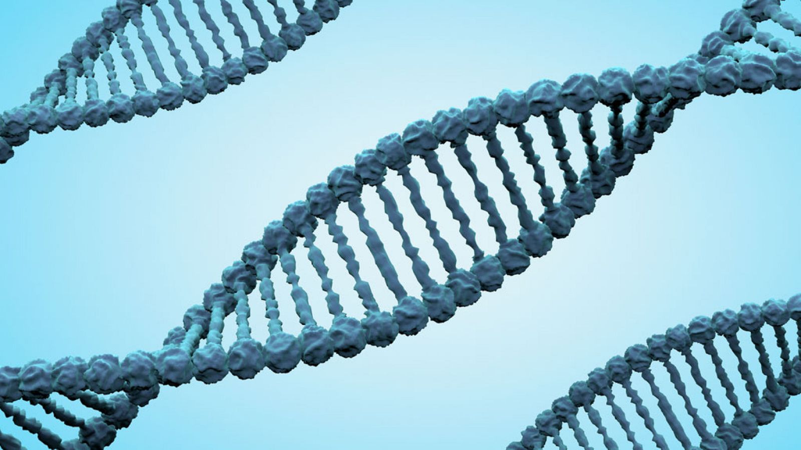 La extraña desaparición de los varones ibéricos hace 4.000 años - Escuchar ahora