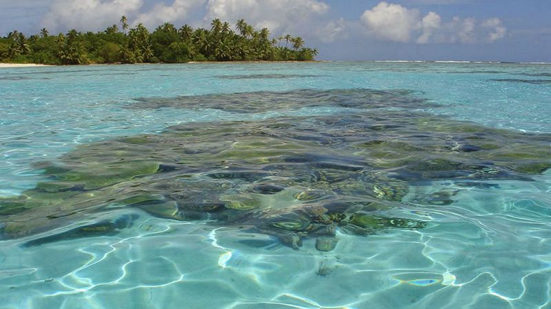 Todo Noticias - Mañana - El Reino Unido tendrá que descolonizar el archipiélago de Chagos - Escuchar ahora