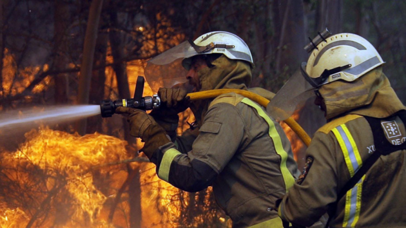 14 horas - El fuego ya ha arrasado 850 hectáreas en Galicia - Descargar ahora