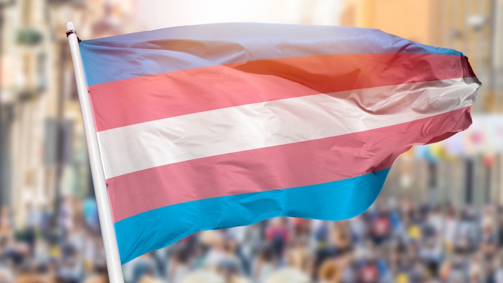 Canarias mediodía - Celebramos el Día Internacional de la Visibilidad Trans - Escuchar ahora