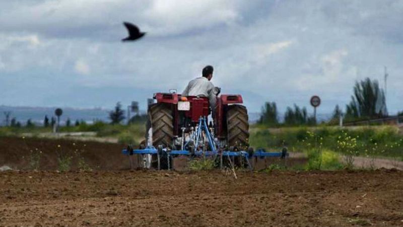 14 horas - Banda ancha y mejores servicios para frenar la despoblación rural - Escuchar ahora