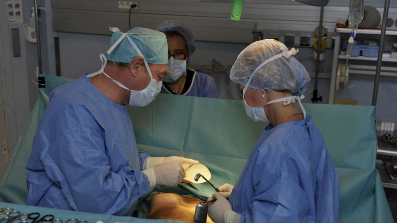 14 horas - Francia prohíbe varios tipos de prótesis mamarias - Escuchar ahora