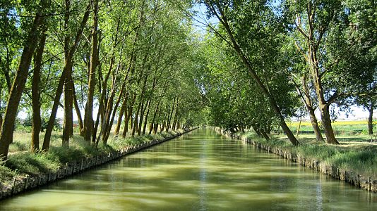 Nómadas - Nómadas - Canal de Castilla: el campo navegable - 28/07/19 - Escuchar ahora