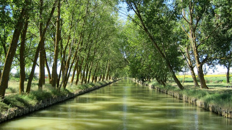 Nmadas - Canal de Castilla: el campo navegable - 28/07/19 - Escuchar ahora