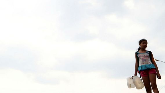 Todo Noticias - Tarde