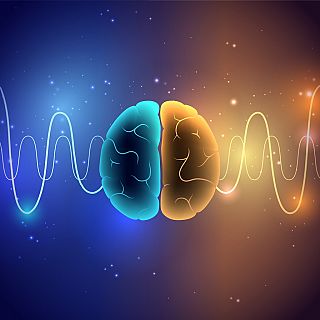 Música y Cerebro: Cómo suena el cerebro