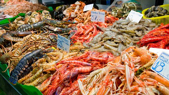 Pescados y mariscos de España