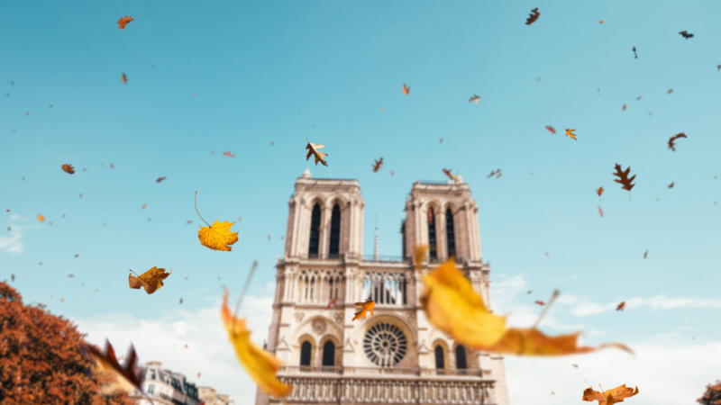 Posible fraude en las donaciones para la reconstrucción de Notre Dame - Escuchar ahora