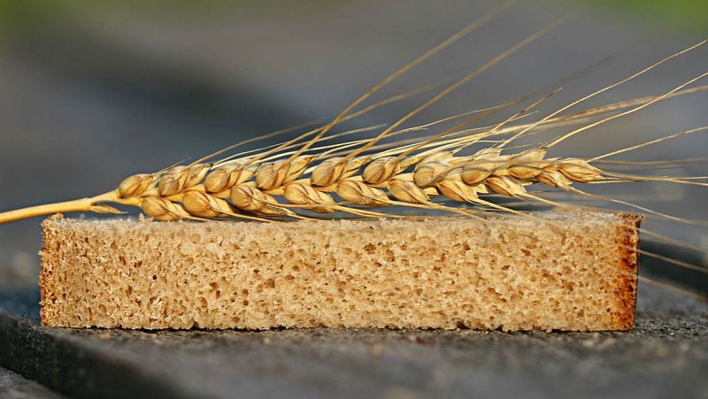 Memoria de delfín - Celiaquía: vivir sin gluten - 27/04/19 - escuchar ahora