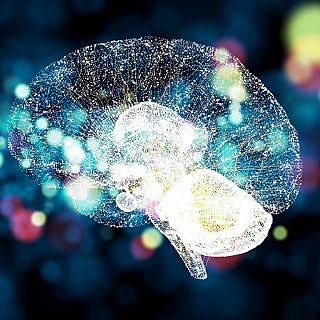 Música y Cerebro: Neurología y locura