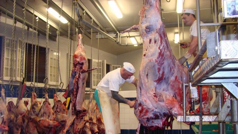 El amplificador - Los cálculos biliares vacunos y la viagra en China - 5/05/19 - Escuchar ahora