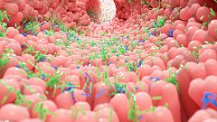 Marca España - Identificamos la microbiota española