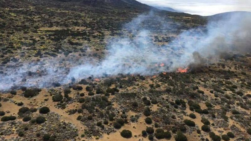 Las mañanas de RNE con Íñigo Alfonso - Los equipos de extinción pendientes del incendio del Teide - Escuchar ahora
