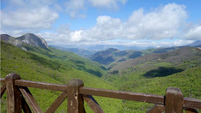 El gallo que no cesa - Tierra sin límites: La Montaña Palentina - Escuchar ahora