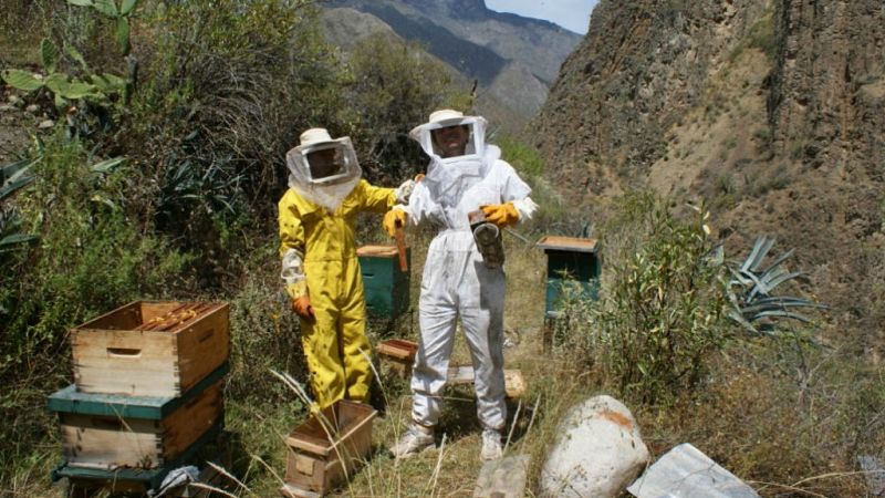 Mundo aparte - La miel que empodera a las mujeres - 2/06/19 - Escuchar ahora