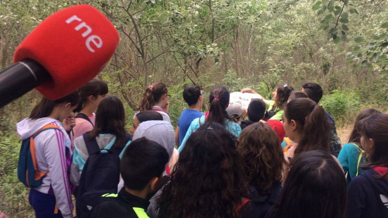 Todo Noticias - Mañana - La importancia de los educadores ambientales  - Escuchar ahora