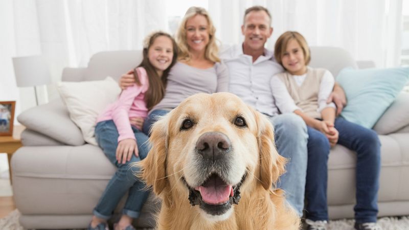 Mamás y papás - Animales en casa: uno más de la familia - 08/06/19 - Escuchar ahora