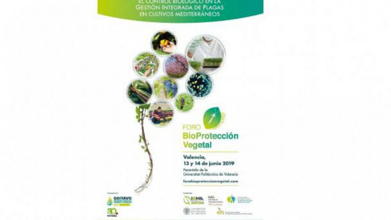 Agro 5 - Sanidad vegetal en España, una referencia mundial - 15/06/19 - Escuchar ahora