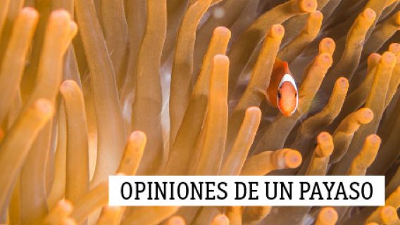 Opiniones de un payaso