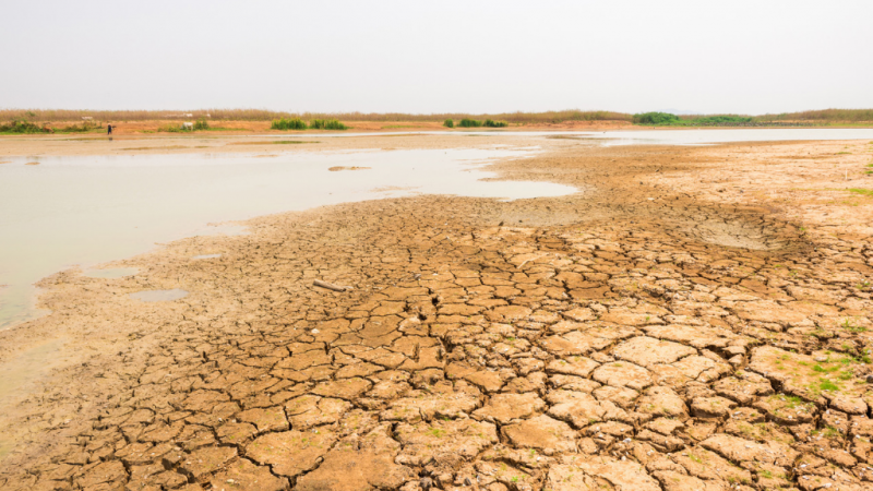 Las consecuencias de la sequía - escuchar ahora