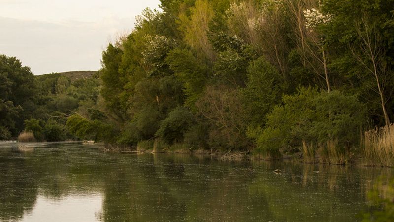 Escapadas - Camino verde de la Ribera Alta - 29/06/19 - Escuchar ahora